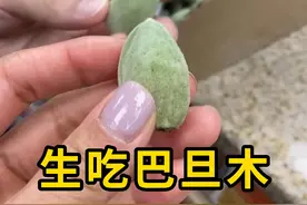 巴旦木也能生吃，口感爽脆！ #巴旦木 #科普 #涨知识视频封面