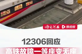 #12306回应高铁故障一等座变无座 近日，有乘客反映因自己搭乘的列车发生故障，被更换至其他列车后从“一等座”变成了“无座”（来源：澎湃新闻）视频封面