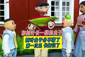 和树叶这么像的虫子，还会唱歌！涨知识了！ #搞笑动画视频封面