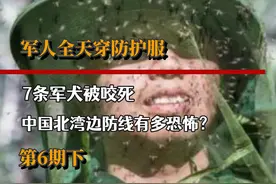 中国最恐怖的边防线，7条军犬被蚊子咬死，每天灭蚊20个脸盆