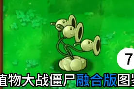 植物大战僵尸融合版图鉴 植物大战僵尸！融合版 ！毁灭菇机枪射手