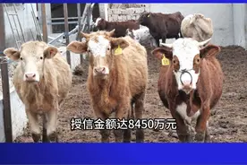 邮储银行南漳支行：金融活水 助力乡村振兴（记者：胡德宝  张鹏亮）视频封面