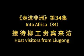 金梦网在非洲的主要业务是代理销售中国柳工的产品。最年来视频封面