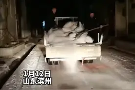 接亲前大雪封路，新郎豪橫买5吨盐化雪50公里，新娘感动：被重视视频封面
