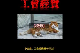 小企业，工会经费报 0 行么？视频封面
