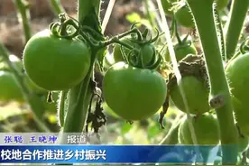 校地合作推进乡村振兴视频封面