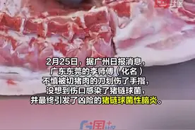 男子不慎被切猪肉的刀划伤了手指，伤口感染了猪链球菌引发了猪链球菌性脑炎，经抢救转危为安。医生提醒：有如下症状请及时就医……视频封面