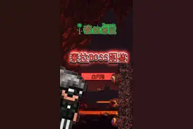 向导：？#泰拉瑞亚 #泰拉瑞亚手游 