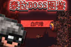 向导：？#泰拉瑞亚 #泰拉瑞亚手游 视频封面