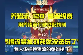 养猪流 120 星教学