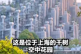 中国是未来世界 #外国人在中国 #外媒 #热点 #中国发展速度 #中国基建狂魔享誉世界视频封面
