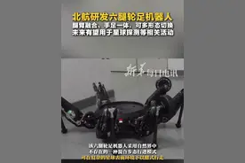 北航研发六腿轮足机器人，腿臂融合、手足一体，可多形态切换，未来有望用于星球探测等相关活动视频封面