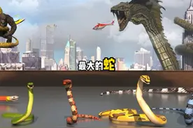 你知道世界上最大的蛇有多大吗 #科普 #你不知道的冷知识