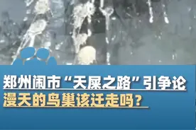 4月14日，郑州闹市“天屎之路”引争论，行人时常被鸟屎“袭击”，漫天的鸟巢该迁走吗？你怎么看#河南dou知道视频封面