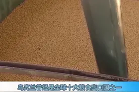 乌克兰曾经是全球十大粮食出口国之一，但如今受俄乌冲突的影响，许多谷物出口航线中断，当地粮食生产与供应陷入困境。视频封面