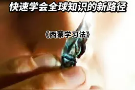 世界公认最有效的学习方法，只需三步视频封面