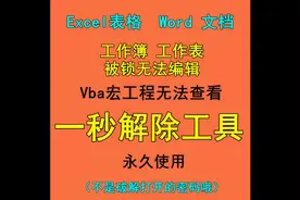 Excel工作表保护密码忘了怎么办？教你一招，请说破解视频封面