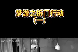 梦游永远猜不到结局 #监控下的一幕 #猫咪的迷惑行为 #铲屎官疯了视频封面
