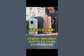 充电宝行业大地震！安普瑞斯ISO三体系认证被暂停！波及#罗马仕#安克#小米#绿联#充电宝视频封面