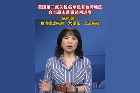 美国第二波关税名单没有台湾地区，台当局未透露谈判进度，陈凤馨：赖清德想拖到“大罢免”之后揭晓#海峡新干线视频封面