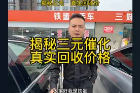 揭秘汽车三元催化的真实回收价格视频封面