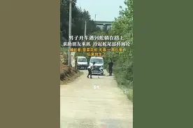 男子开车遇到蛇躺在路上 求助朋友来抓 拎起蛇尾部转圈抡 捕蛇者:是菜花蛇 无毒 一两斤重 后来放生了#抓蛇 #搞笑 #安全 #迷惑行为大赏