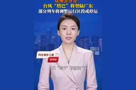 #台风暴雨双预警齐发  9月7日6时，中央气象台发布台风黄色预警、暴雨蓝色预警，#台风塔巴将登陆广东沿海 ，多地有大到暴雨，部分列车停运或有调整。