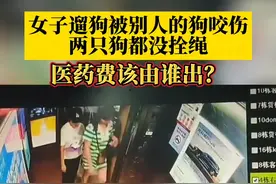 7月6日，重庆，#女子遛狗被别人的狗咬伤 两只狗都没拴绳，医药费该由谁出？   #重庆dou知道 视频封面