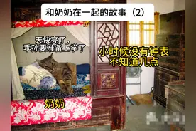还记的那个很早起来给你做饭的奶奶吗#猫meme #猫meme小剧场视频封面