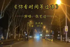 这才是（你看时间等过谁）的原唱，一张嘴比张宇嗓音还沧桑视频封面