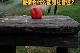挥动鞭子，鞭梢为什么能超过音速？ #科普  #解压  #物理  #音爆 #抖音知识年终大赏视频封面