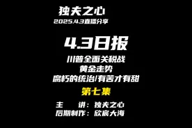 2025.4.3日报第七集（共八集，注意查看主页） 视频封面