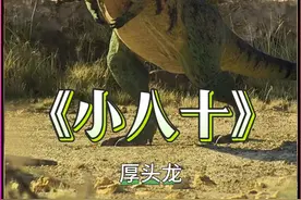 这种一言不合就八十的龙，你见过么？ #神奇动物在抖音