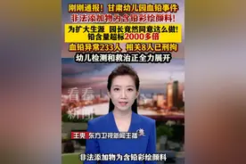 #甘肃 #天水幼儿血铅异常事件 ：8人被刑拘 食品非法添加物为彩绘颜料 园长为了扩大生源 竟然这样做 #媒体精选计划 #血铅