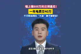 墙上镶800万的兰博基尼！一年电费交40万，千万粉丝网红“大蓝”妻子被禁言！#大蓝 #大叶子 #一年电费40万炫富网红被禁言