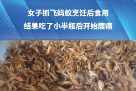 女子抓飞蚂蚁烹饪后食用，结果吃了小半瓶后开始腹痛，医生诊断高蛋白超标过敏#飞蚂蚁 #过敏 #腹痛