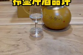 李亚鹏拎壶冲酒品评！ 投资上亿，酝酿三年的酒，是什么水平？#酱迷解惑视频封面