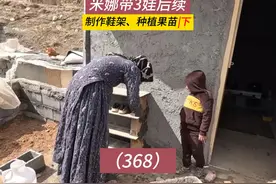 米娜制作鞋架！米娜纪录片后续368集，种植核桃树苗（下）视频封面