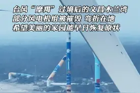 台风“摩羯”过境后的文昌木兰湾 部分风电机组被摧毁 弯折在地 希望美丽的家园能早日恢复原状 #海南 #文昌 #木兰湾 #风车海岸 #台风摩羯视频封面