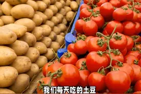 土豆是番茄“意外的孩子”？科学家揭开真相视频封面