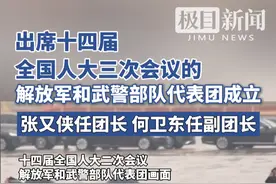 出席十四届全国人大三次会议的解放军和武警部队代表团成立视频封面
