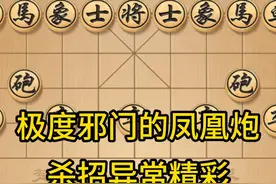 极度邪恶的凤凰炮杀招异常精彩杀得头破血流 极度邪恶的凤凰炮