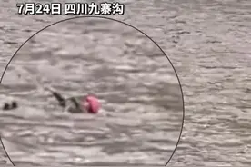 7月24日，四川九寨沟。消防员被洪流冲走，众人努力救援成功。惊心动魄一幕被记录！你为我们拼过命，我们努力护你周全，感谢洪水中的每一位逆行者! #民生关注 #消防救援 #感人一幕 视频封面