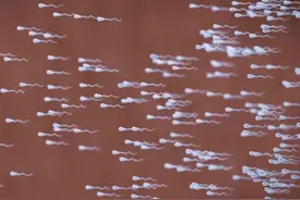 探索人体的奥秘，为什么会有股味道？ #涨知识 #科普 #冷知识视频封面