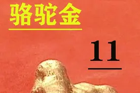 黄金缉私队孙国盛，单枪匹马一挑四，彩 #陕普解说