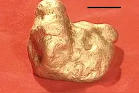 黄金缉私队孙国盛，单枪匹马一挑四，彩 #陕普解说