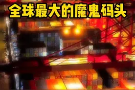 为什么老外都把上海洋山港叫“魔鬼码头”？因为它是全球规模最大、自动化程度最高的无人港口。今天就带大家看看这个无人港口是如何实现自动化运行的？#上海港 #洋山港 #港口 #外贸 #海运视频封面