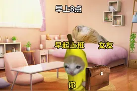 当你去上班了你女朋友在家的一天都在干嘛#猫meme小剧场