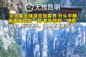众人乘天梯游览张家界，开头平静，画面出现的一刻，老外惊呼“神奇”。网友：别说老外，国人都震撼到了！#张家界#百龙天梯 #自然奇观@阿卉🌈视频封面