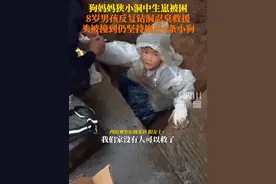1月25日，湖南衡阳。#8岁男孩全副武装钻小洞救流浪狗母子 ，大家一起给了狗狗们温暖的家，真棒！视频封面